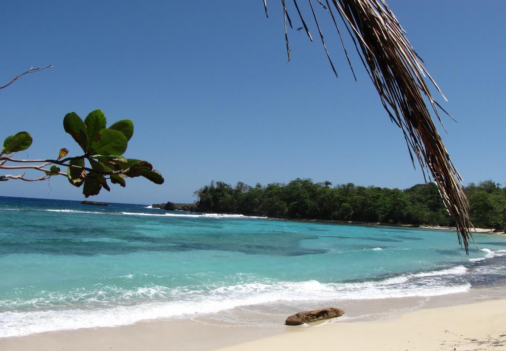 Polish Princess Guest House Port Antonio Exterior foto